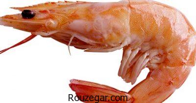 خواص میگو برای جنین،خواص میگو برای مردان،خواص میگو در بدنسازی