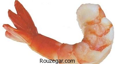 خواص میگو برای جنین،خواص میگو برای مردان،خواص میگو در بدنسازی