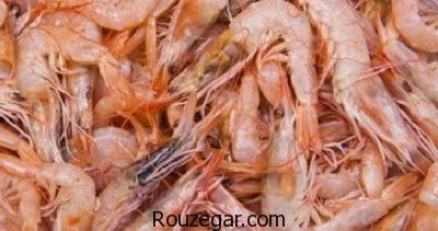 خواص میگو برای جنین،خواص میگو برای مردان،خواص میگو در بدنسازی