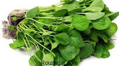 خواص شاهی برای چربی سوزی،خواص شاهی قاعده آور،خواص شاهی برای کم خونی