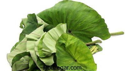 خواص برگ مو برای واریس،خواص برگ مو برای چشم،خواص برگ مو برای خونریزی