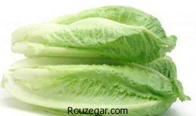 خواص کاهو در طب سنتی،خواص کاهو در شیردهی،خواص کاهو در بدنسازی