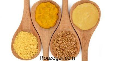 خواص خردل برای مو،خواص خردل برای تسکین درد،خواص خردل برای آبریزش بینی