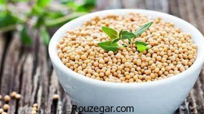 خواص خردل برای مو،خواص خردل برای تسکین درد،خواص خردل برای آبریزش بینی