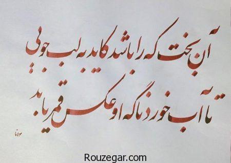 اشعار مولانا درباره انسان، اشعار مولانا درباره انسانیت