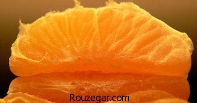 خواص نارنگی برای کودک،خواص نارنگی در طب سنتی،خواص نارنگی در بارداری