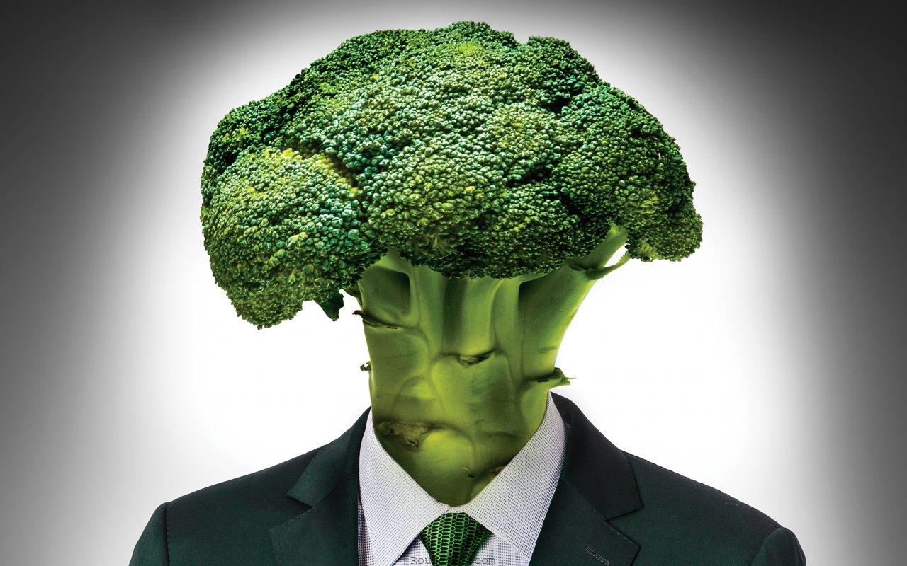 Image result for veganism