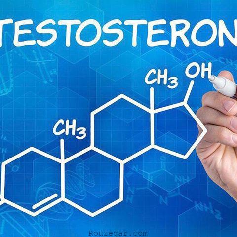 تستوسترون چیست؟