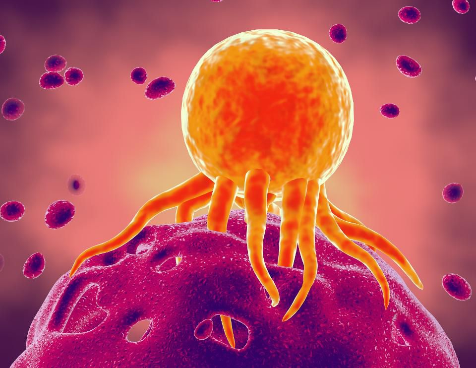 Image result for cancer